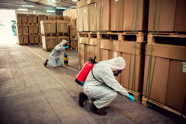 Best Cockroach Control Services  in West Rson, CA