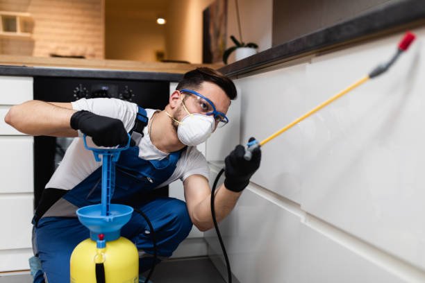 Best Affordable Pest Control Services  in West Rson, CA