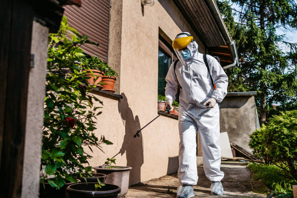 Best Bed Bug Extermination  in West Rson, CA