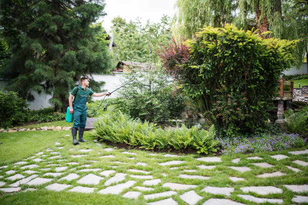 Best Commercial Pest Control Services  in West Rson, CA