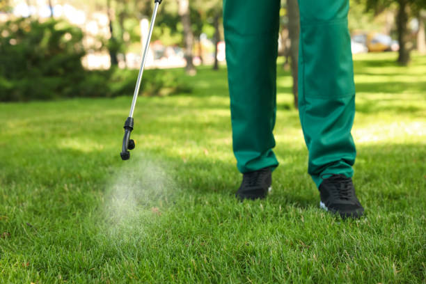 Best Pest Control Near Me  in West Rson, CA