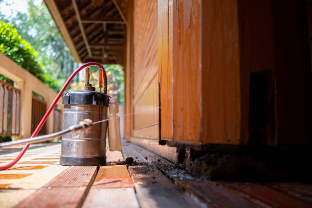 Best Pest Control Treatment  in West Rson, CA