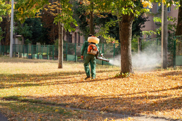 Best Local Pest Control Services  in West Rson, CA